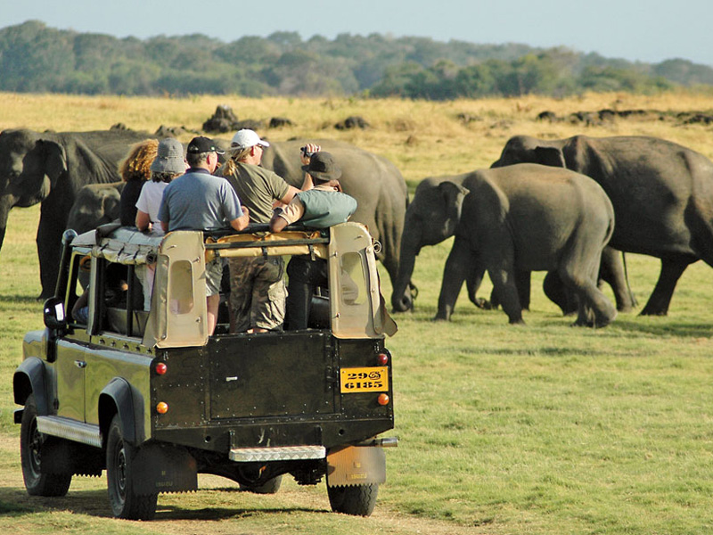 Minneriya - srilankafoodtour.com